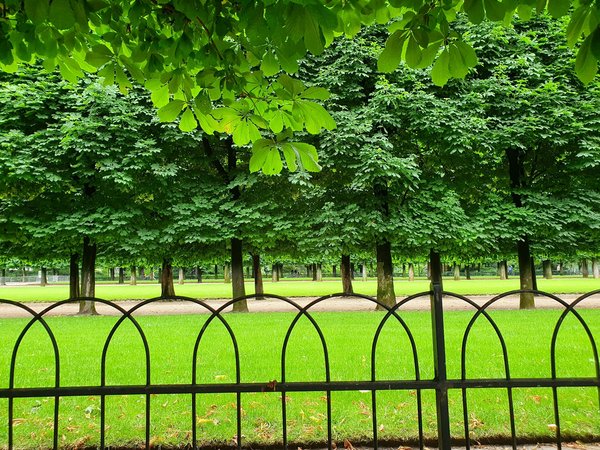 Comment organiser une croisière pour découvrir les jardins botaniques en Australie?