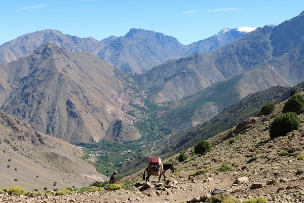 Quels sont les meilleurs conseils pour une randonnée dans les montagnes de l'Atlas marocain?